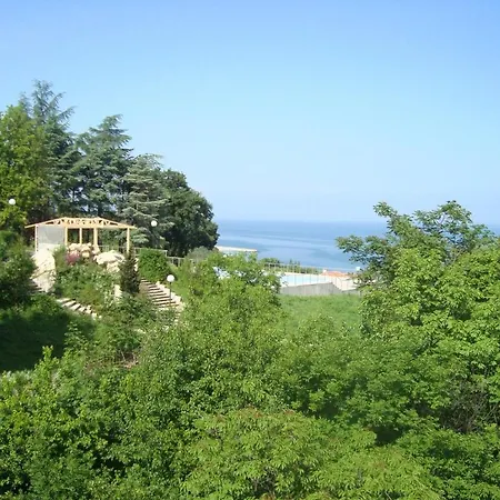 Mari Guest Золотые Пески