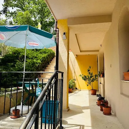 мари за гости *